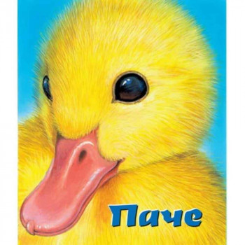 VULKAN TVRDE SLIKOVNICE PACE 