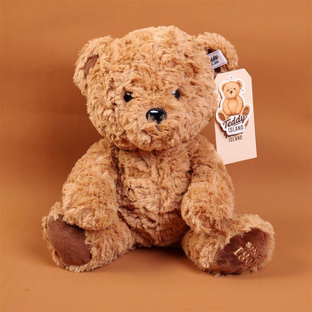 YOYOSO PLISANA IGRAČA TEDDY 