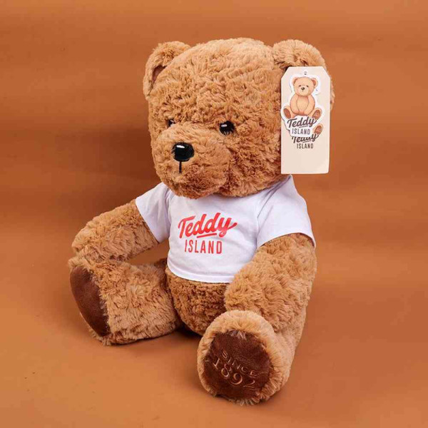 YOYOSO PLISANA IGRACKA TEDDY