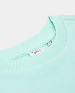 BLUKIDS DUKS SWEATSHIRT