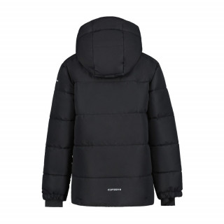 ICEPEAK LOUIN JR