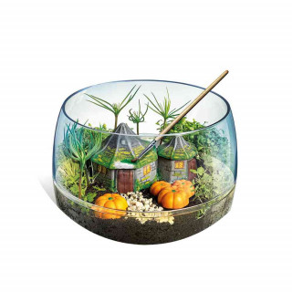 HARRY POTTER TERATIUM SET