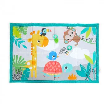 KIDS II BABY BRIGHT STARTS PODLOGA ROAM  12623 