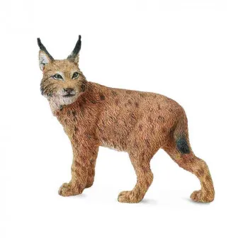 COLLECTA LYNX 