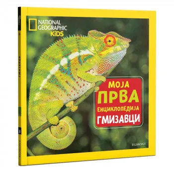 NG MOJA PRVA ENCIKLOPEDIJA BR.13 GMIZAVCI 