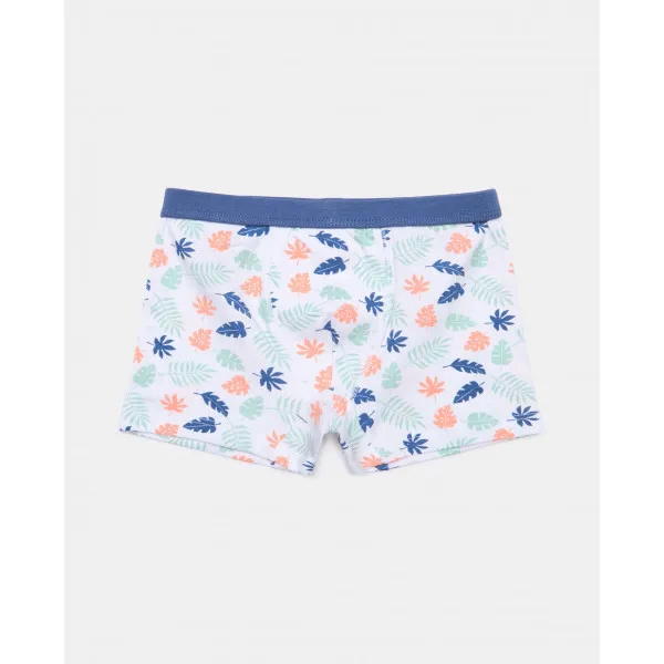 BLUKIDS GACICE BOXER PK 3 AOP BOXER 2/8