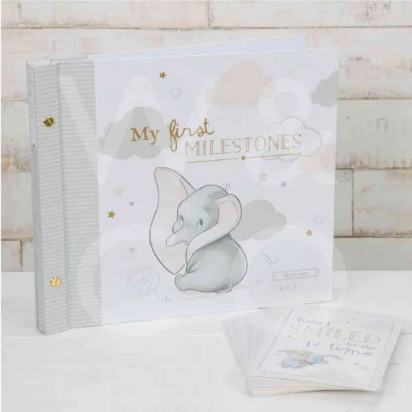 WIDDOP AND CO FOTO ALBUM DISNEY MAGICAL BEGI 