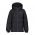 ICEPEAK LOUIN JR