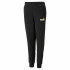 PUMA ESS+ 2 COL LOGO PANTS FL CL B