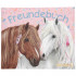 MISS MELODY DNEVNIK SA SPIRALOM FRENDSHIP BOOK