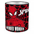 CASA ZA OLOVKE SPIDERMAN 10 X 11