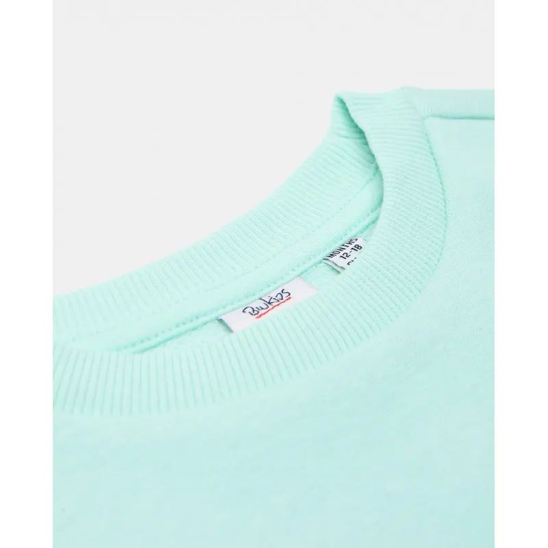 BLUKIDS DUKS SWEATSHIRT