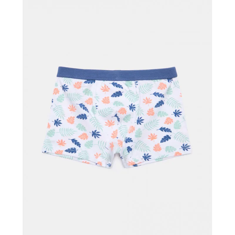 BLUKIDS GACICE BOXER PK 3 AOP BOXER 2/8