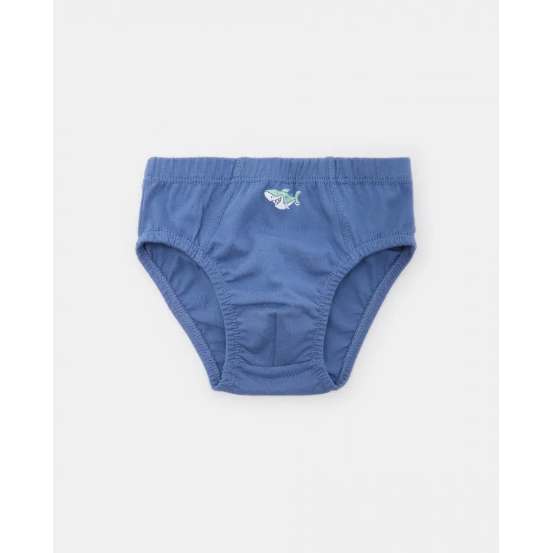 BLUKIDS GACICE PK 3 SLIP 2/8 BOY