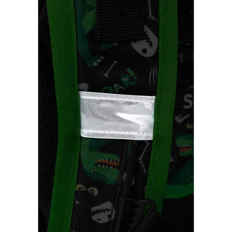 COOLPACK ANATOMSKI RANAC TURTLE DINOSAURUS
