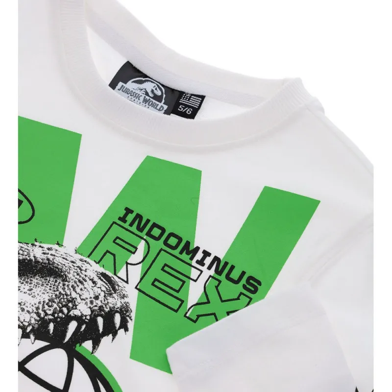 ORIGINAL MARINES MAJICA DUG RUKAV GRAFFITI VIBES JURASSIC WORLD