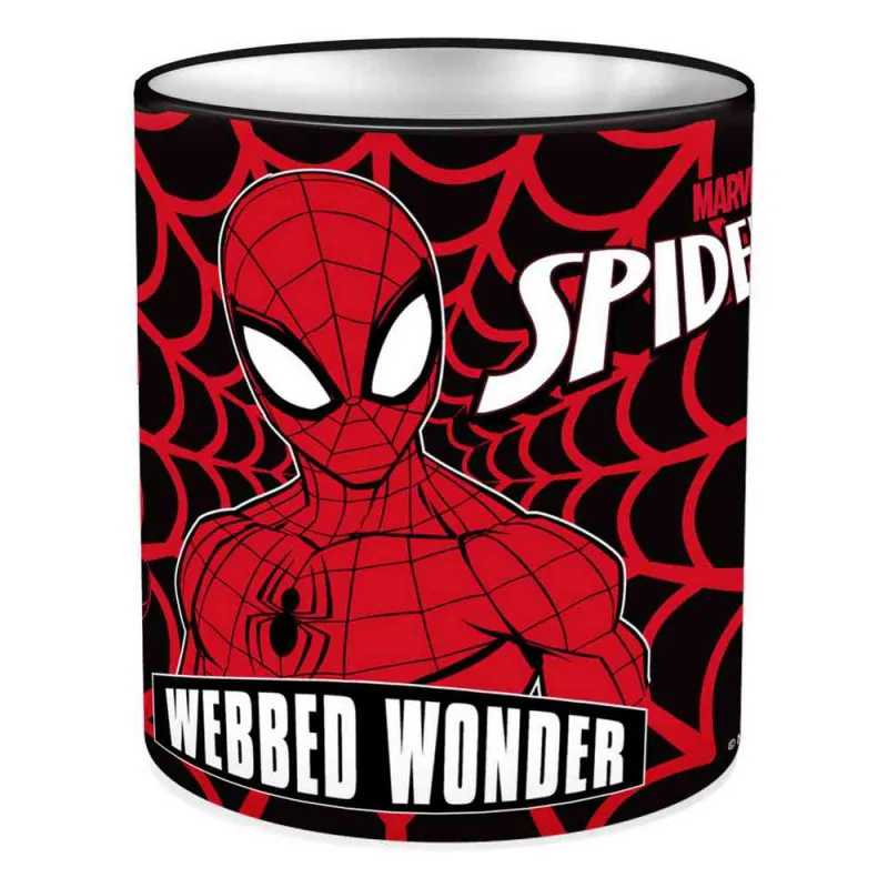 CASA ZA OLOVKE SPIDERMAN 10 X 11