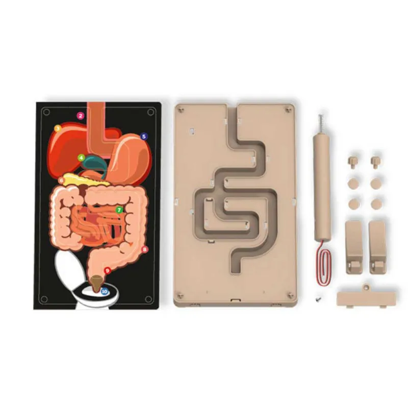 SUPER MAKETA DIGESTIVNI SISTEM